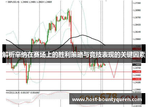 解析辛纳在赛场上的胜利策略与竞技表现的关键因素