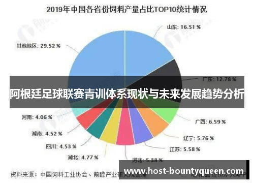 阿根廷足球联赛青训体系现状与未来发展趋势分析
