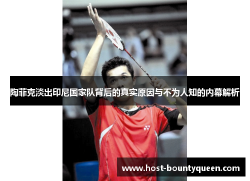 陶菲克淡出印尼国家队背后的真实原因与不为人知的内幕解析